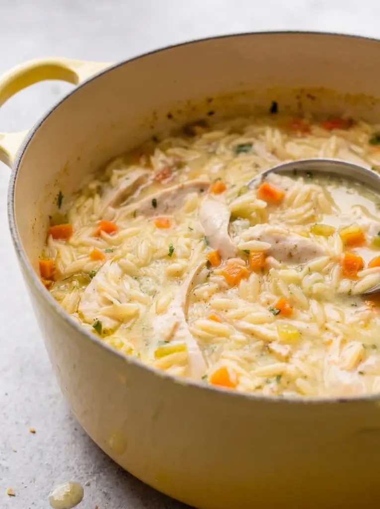Chicken Orzo Soup
